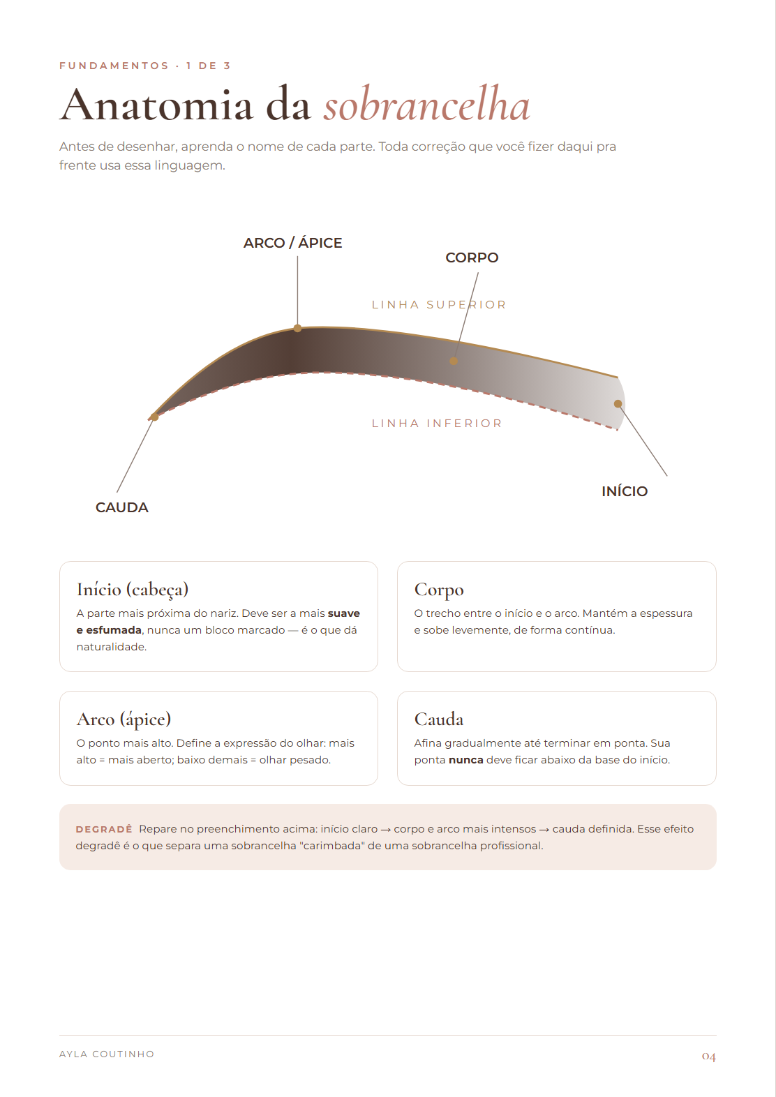Página de anatomia da sobrancelha
